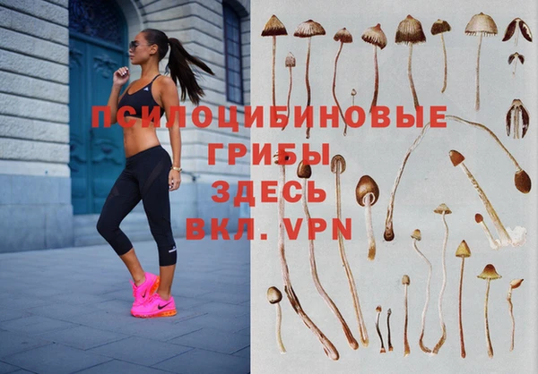 гашик Куйбышев