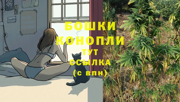 гашик Куйбышев
