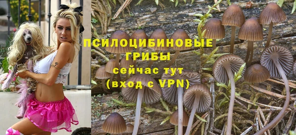 гашик Куйбышев