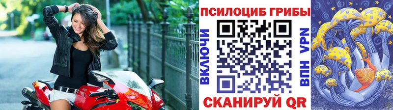 Псилоцибиновые грибы Psilocybe  купить  цена  Невельск 